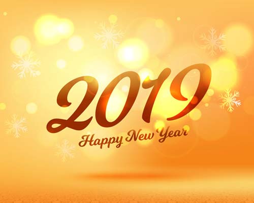 2019 New Year Holiday Notice