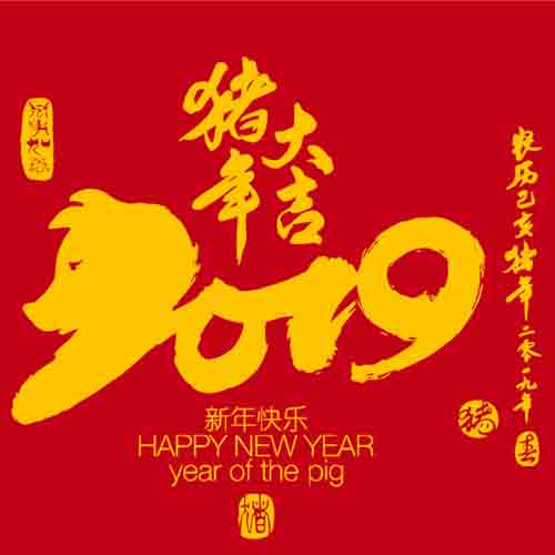 2019 Chinese New Year (Spring Festival) Holiday Notice