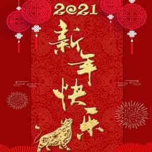 2021 Chinese Spring Festival Holiday Notice