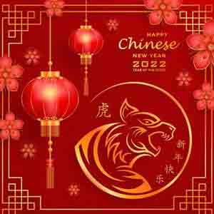 2022 Chinese Spring Festival Holiday Notice