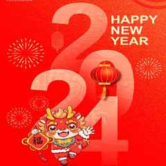 2024 Chinese Spring Festival Holiday Notice